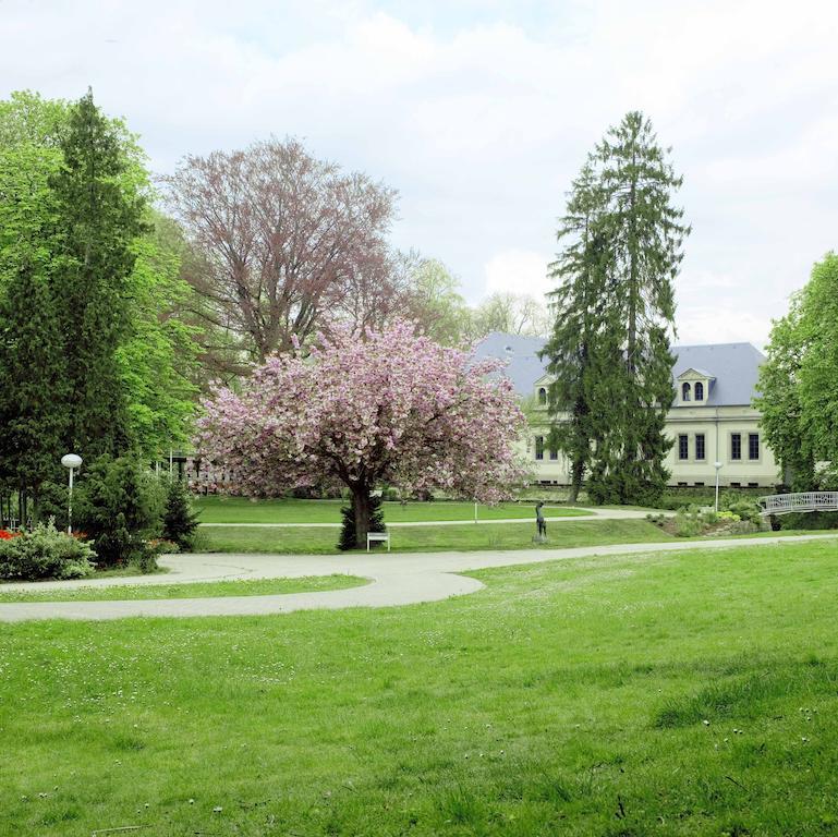 Villa Welcome Мондорф-Лес-Баинс Экстерьер фото